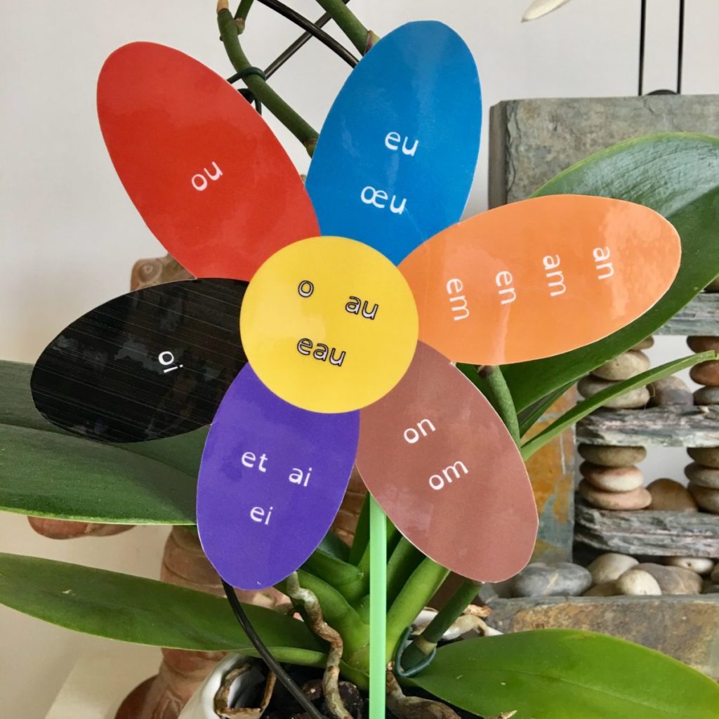 Fleur Des Sons En Couleur Lire crire Compter